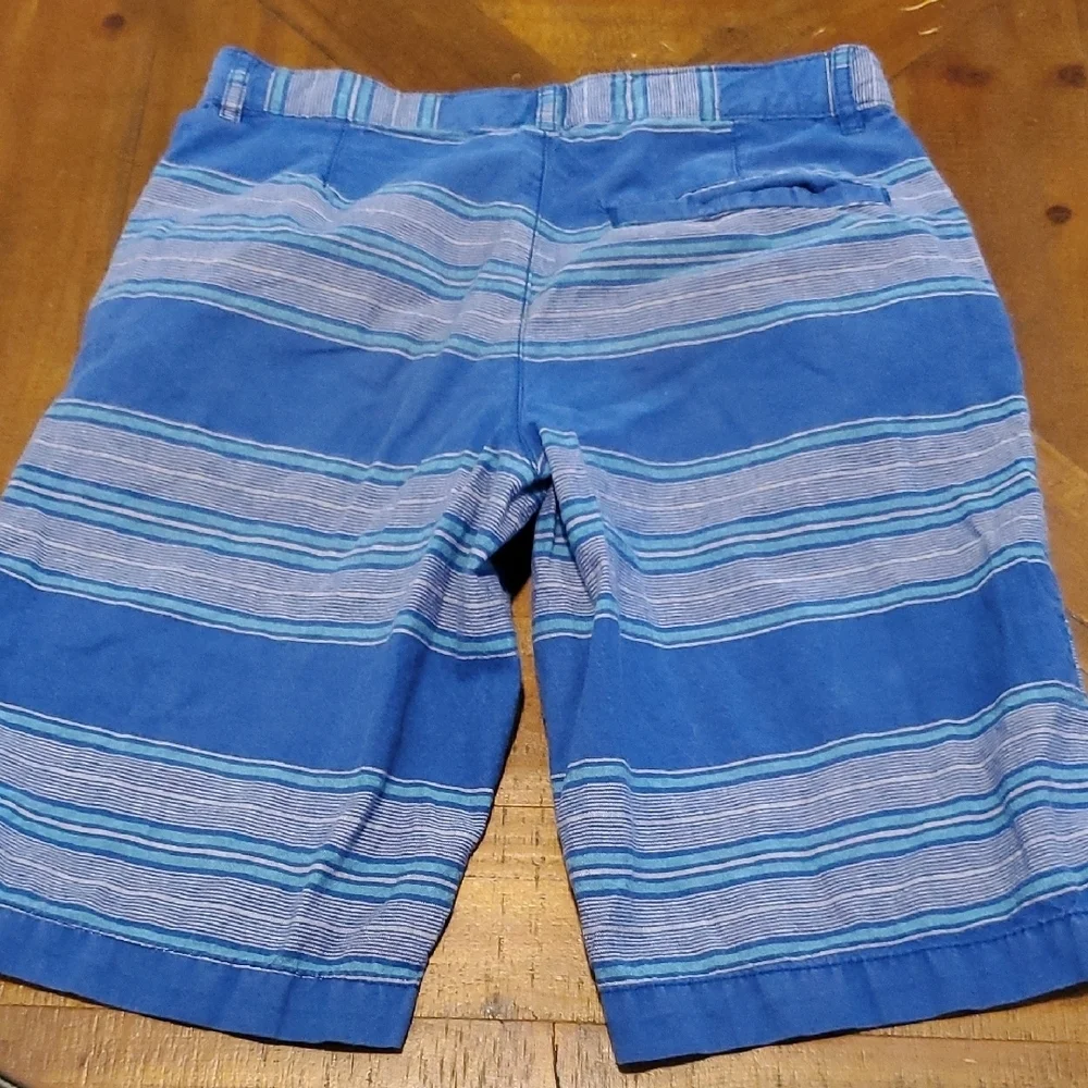 🐻  Old Navy Blue Striped Kids Shorts